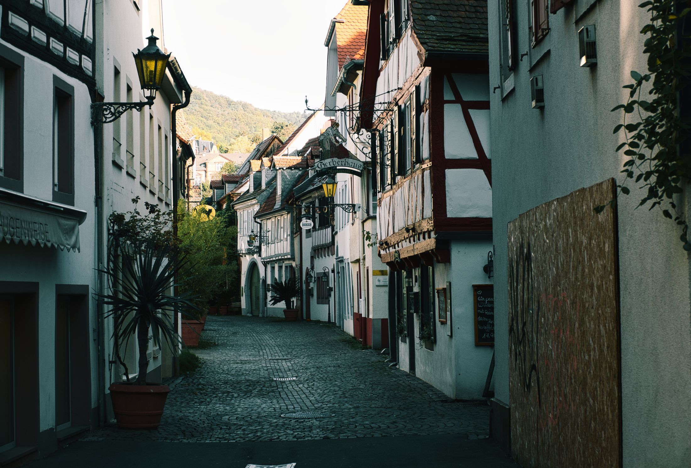 Immobilien und Lebensräume in der Region
